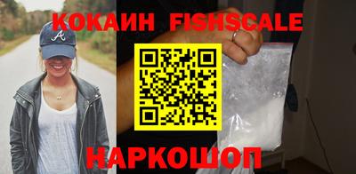 крисы Кулебаки