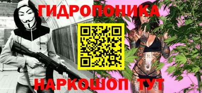 крисы Кулебаки