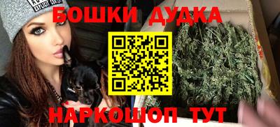 крисы Кулебаки
