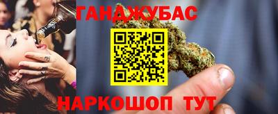 крисы Кулебаки