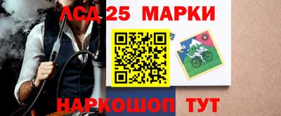крисы Кулебаки
