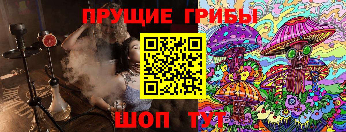 Галлюциногенные грибы Cubensis  Вход с VPN  Тула 